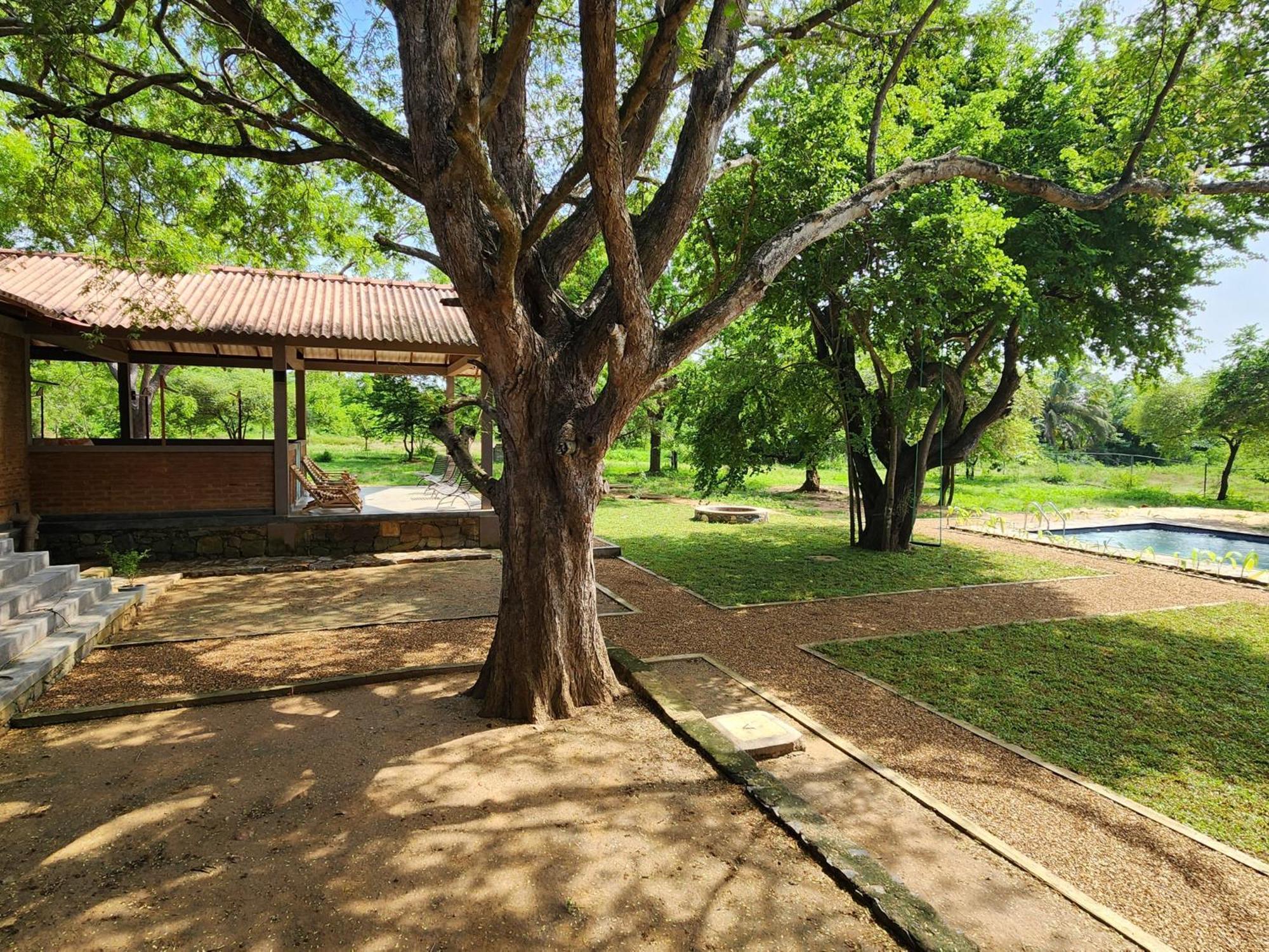 Hide Yala Bed & Breakfast Tissamaharama Exterior foto